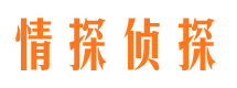 桦南调查事务所